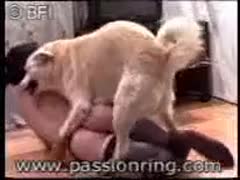 A married woman in filthy stockings lies on the ground and invites a beast to have sex with her.